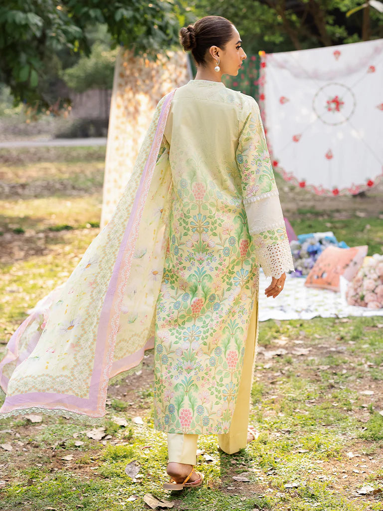 Rajbari | Schiffli Printkari Exclusive Lawn
