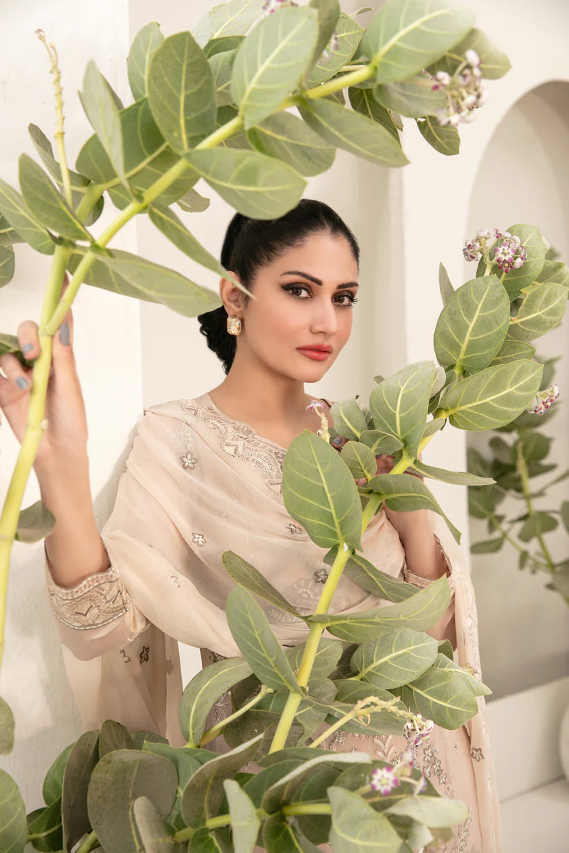 Setareh | Tawakkal luxury Lawn | 3-PC