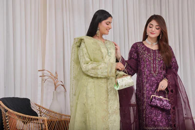 Haleema | Fatima Bano | Organza