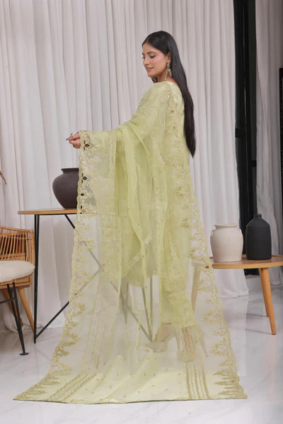 Haleema | Fatima Bano | Organza
