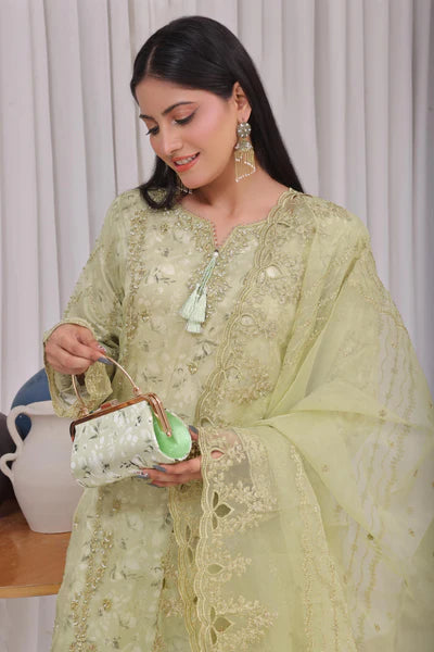 Haleema | Fatima Bano | Organza