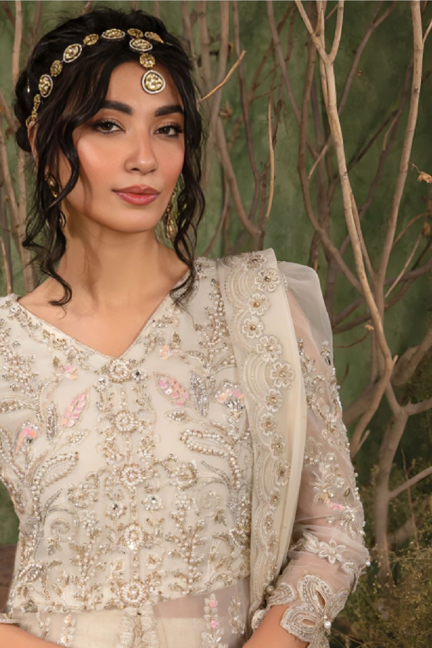 Noor Jahan | Organza | Dressline