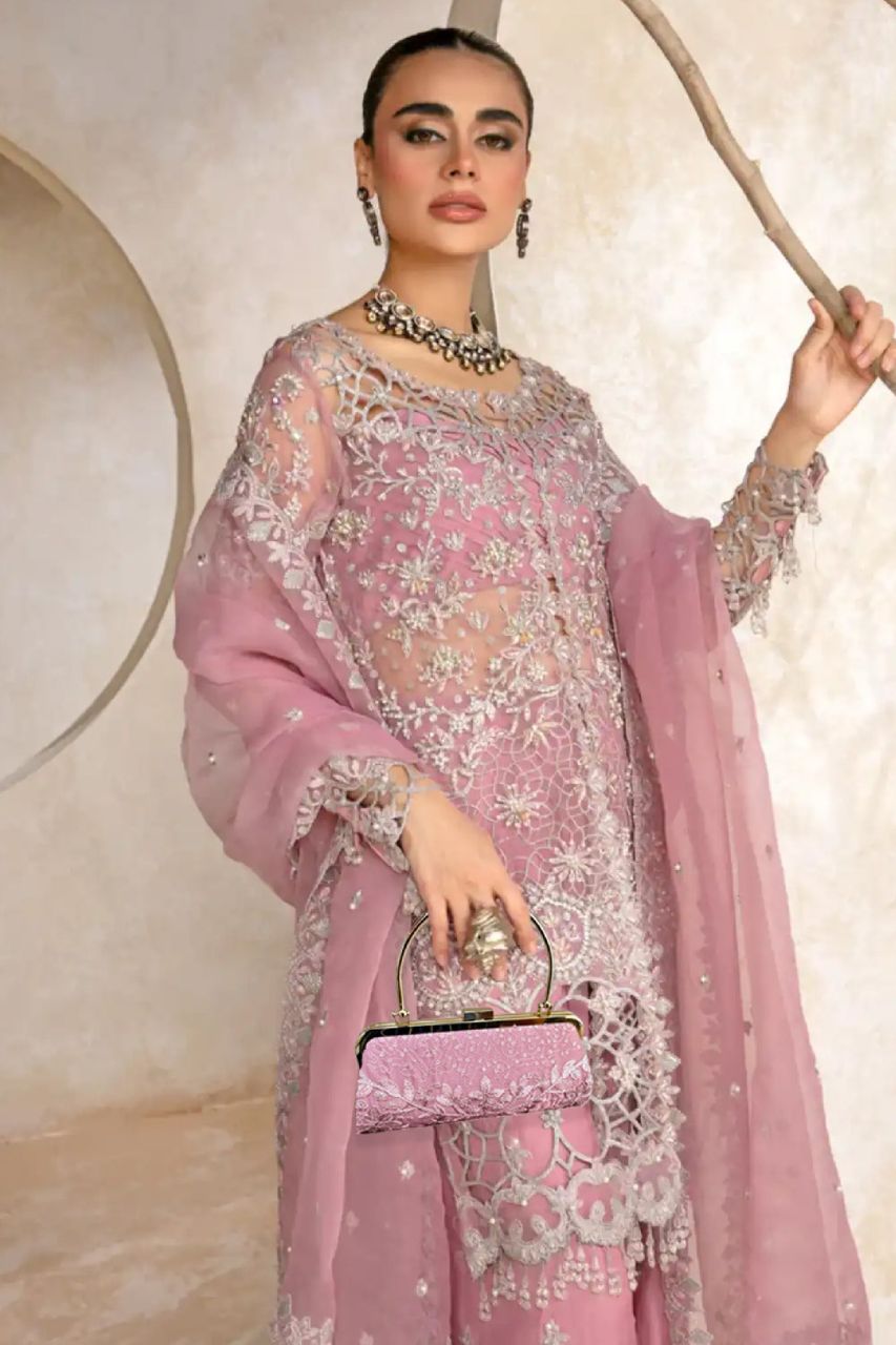 Noor Jahan | Organza | Dressline