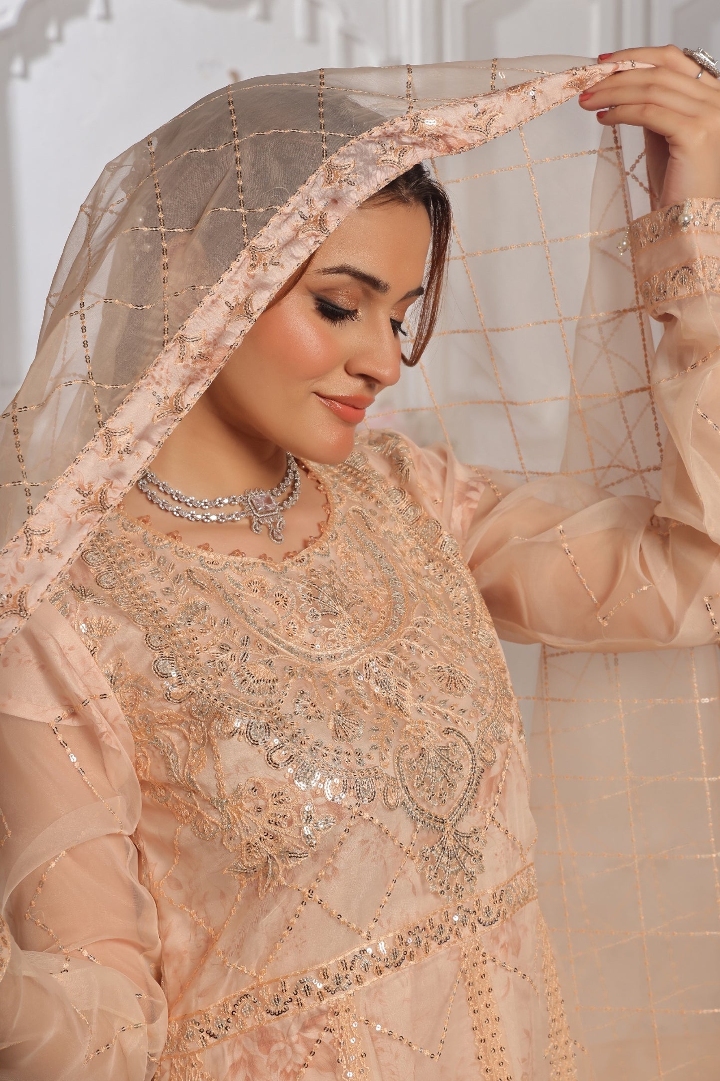 Rubab | Organza | Dressline