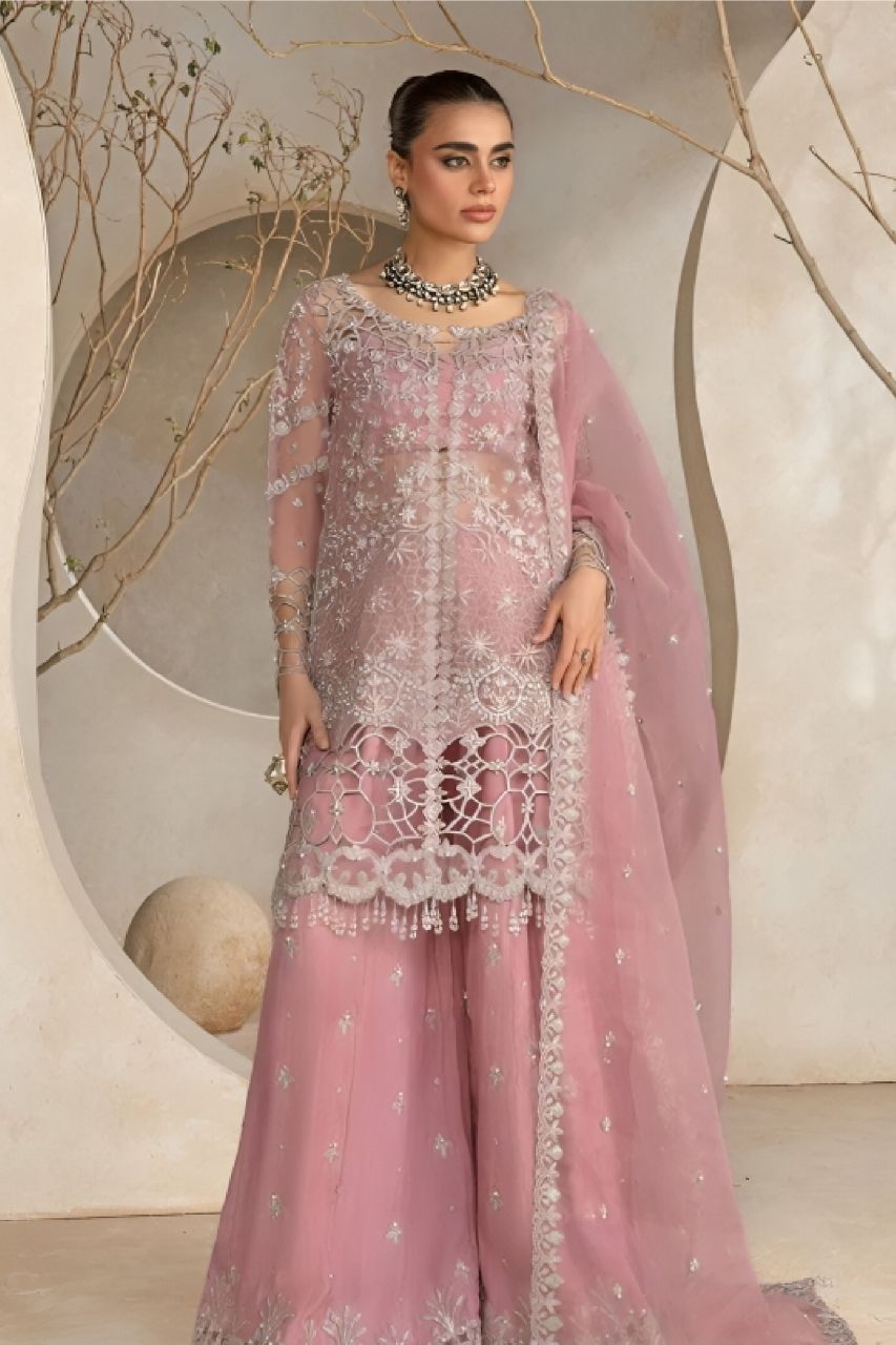 Noor Jahan | Organza | Dressline