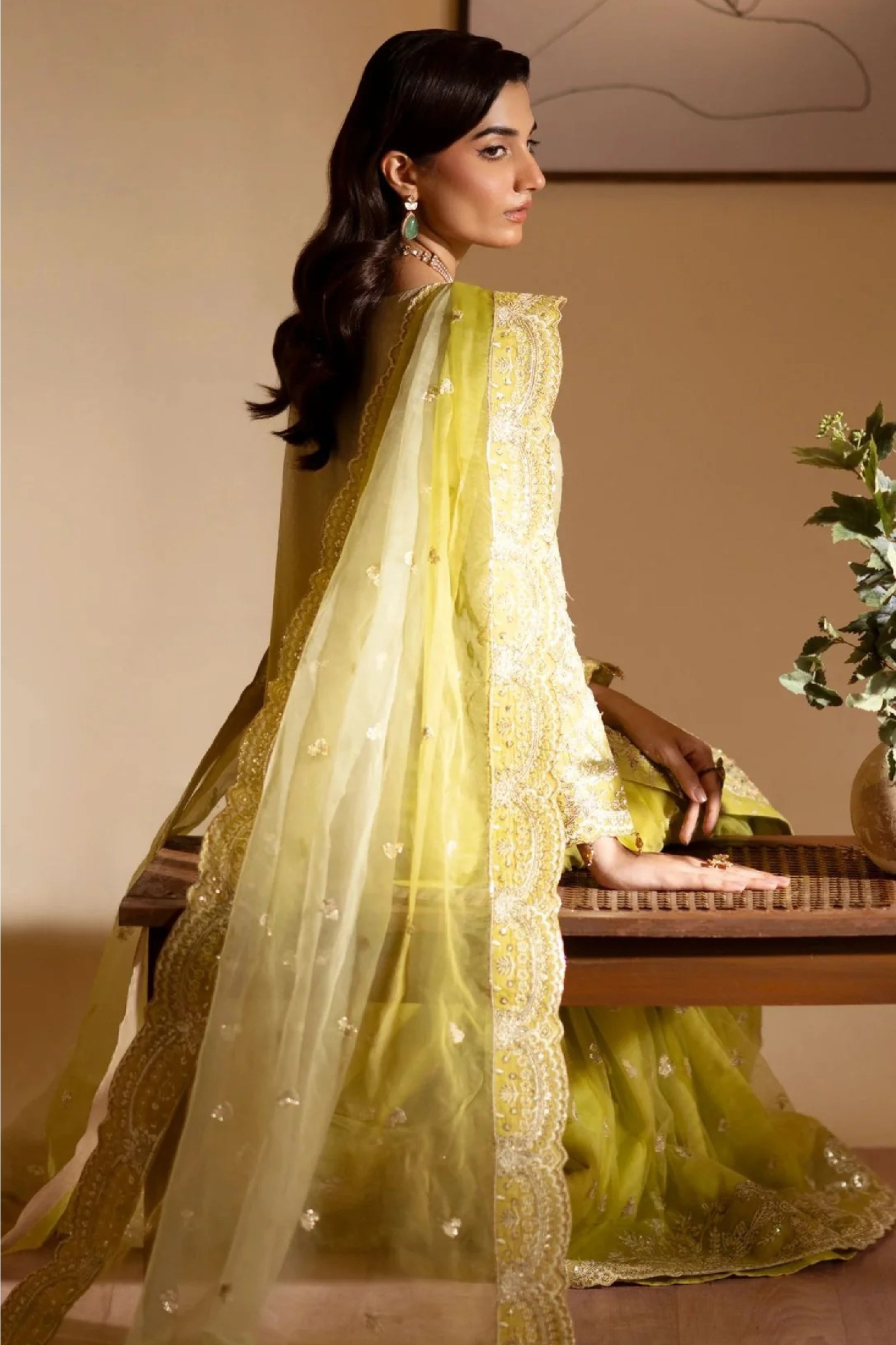 Rangeeli | Dressline | Organza