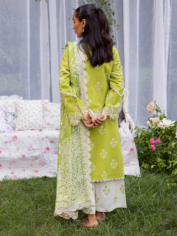 Gardenia | Mahnur | khaddar