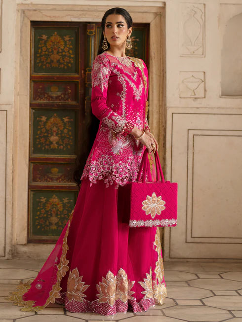 Ranibagh | Parishay | Luxury organza