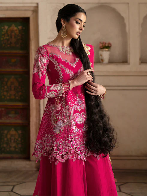Ranibagh | Parishay | Luxury organza