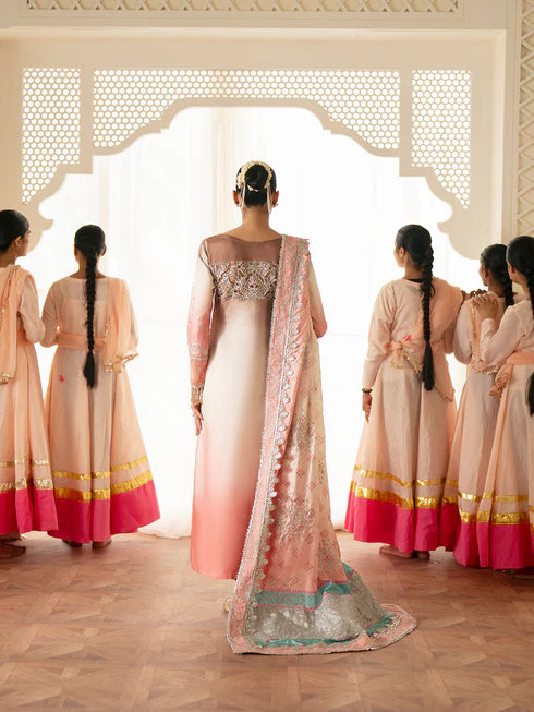 Ranibagh | Parishay | Luxury Organza