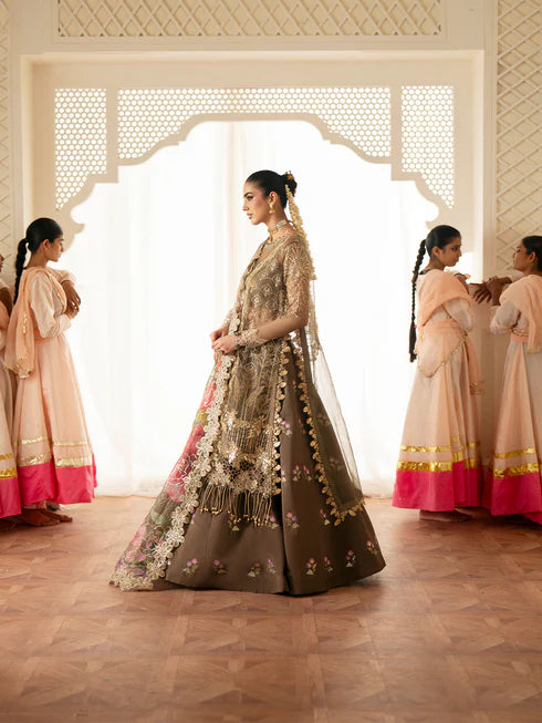 Ranibagh | Parishay | Luxury organza
