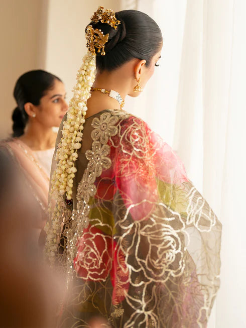 Ranibagh | Parishay | Luxury organza