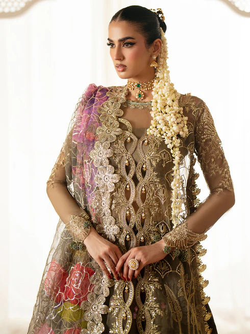 Ranibagh | Parishay | Luxury organza
