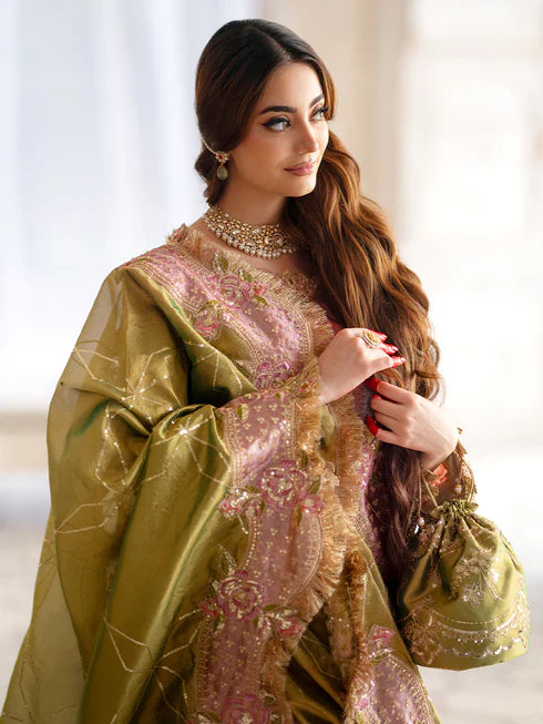 Ranibagh | Parishay | Luxury organza