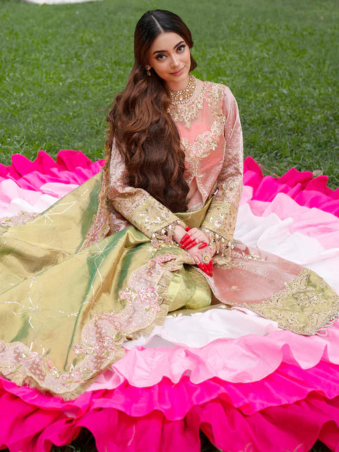 Ranibagh | Parishay | Luxury organza