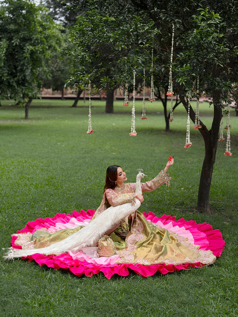 Ranibagh | Parishay | Luxury organza