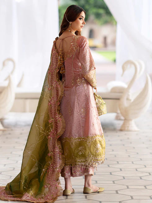 Ranibagh | Parishay | Luxury organza