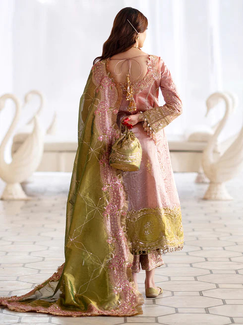 Ranibagh | Parishay | Luxury organza