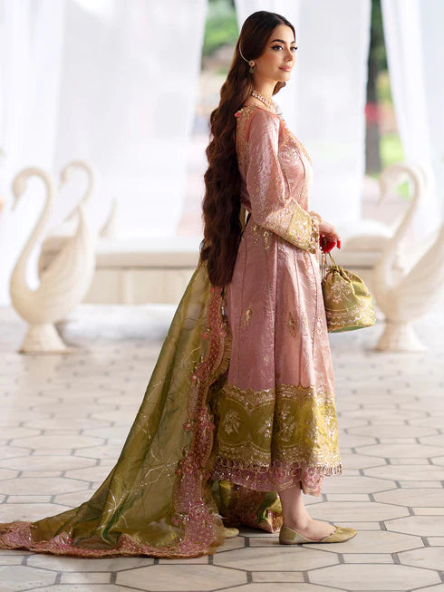 Ranibagh | Parishay | Luxury organza