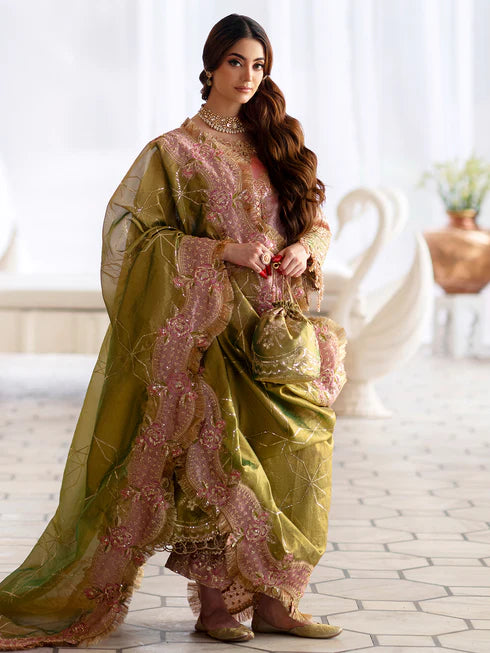 Ranibagh | Parishay | Luxury organza