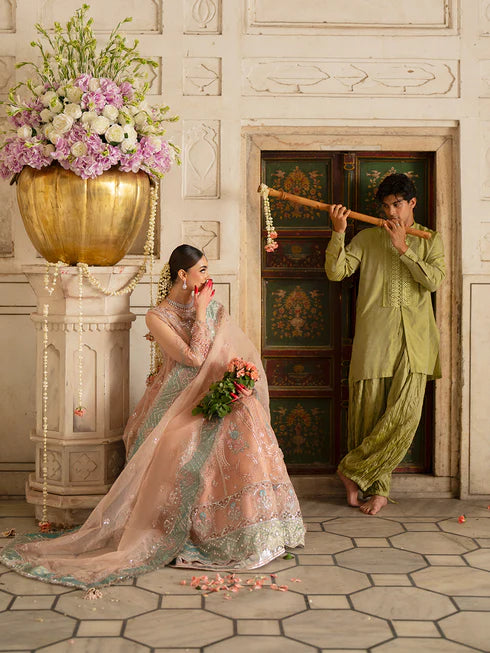 Ranibagh | Parishay | Luxury organza