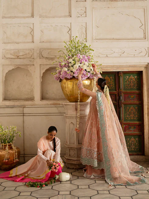 Ranibagh | Parishay | Luxury organza