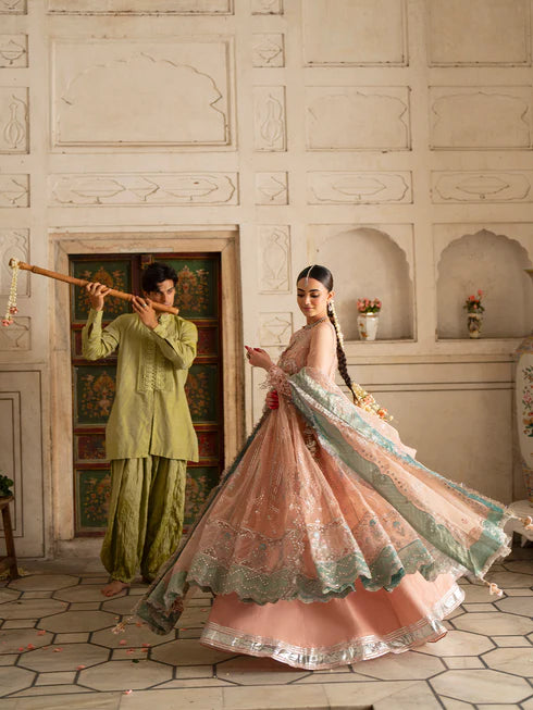 Ranibagh | Parishay | Luxury organza