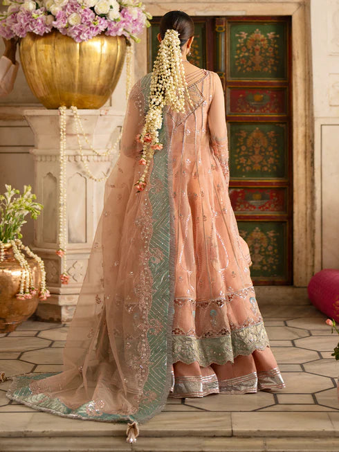 Ranibagh | Parishay | Luxury organza