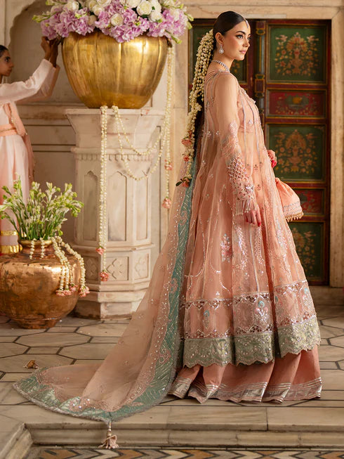 Ranibagh | Parishay | Luxury organza