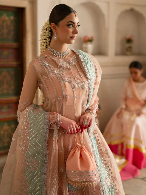 Ranibagh | Parishay | Luxury organza
