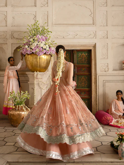 Ranibagh | Parishay | Luxury organza