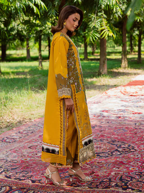 Rang-e-Sarma | Parishay | Khaddar