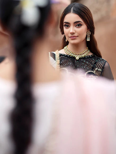 Ranibagh | Parishay | Luxury organza