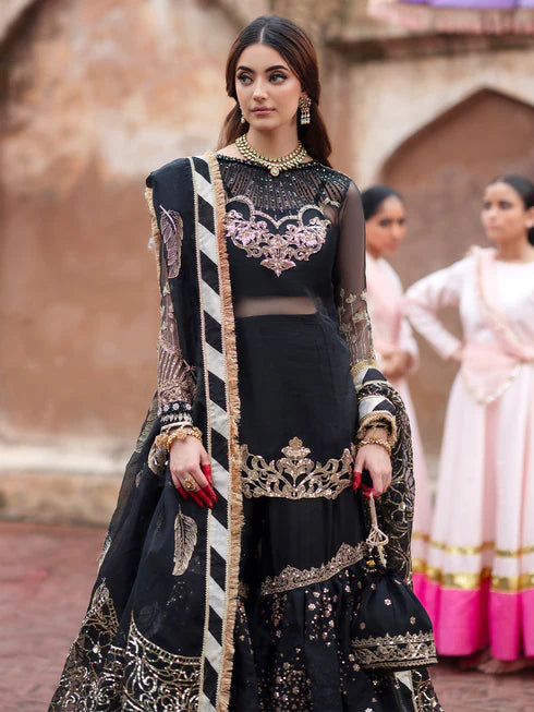 Ranibagh | Parishay | Luxury organza