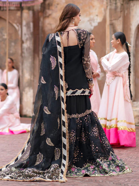 Ranibagh | Parishay | Luxury organza