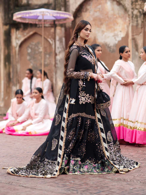 Ranibagh | Parishay | Luxury organza