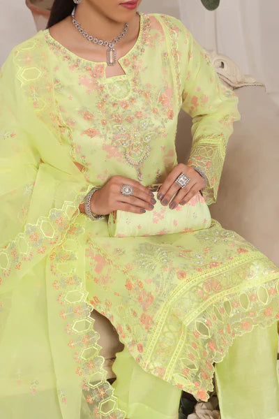 Afsanah | Luxury | Organza