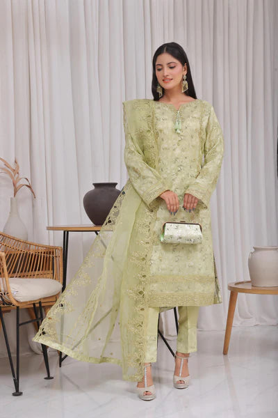 Haleema | Fatima Bano | Organza