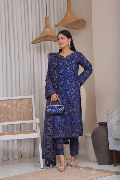 Haleema | Fatima Bano | Organza