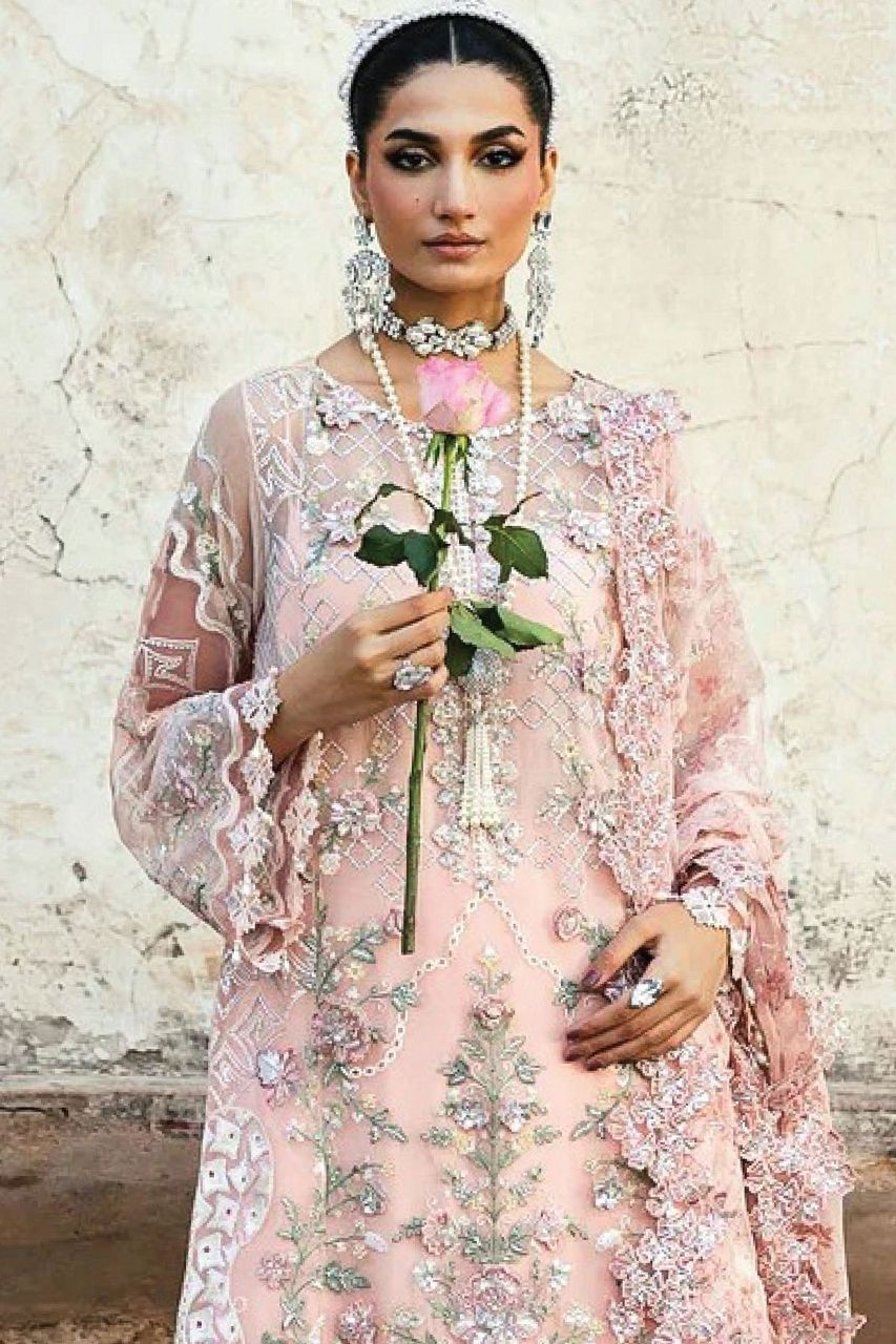Zaib-o-Zeenat | Dreslsine | Shaista - Organza