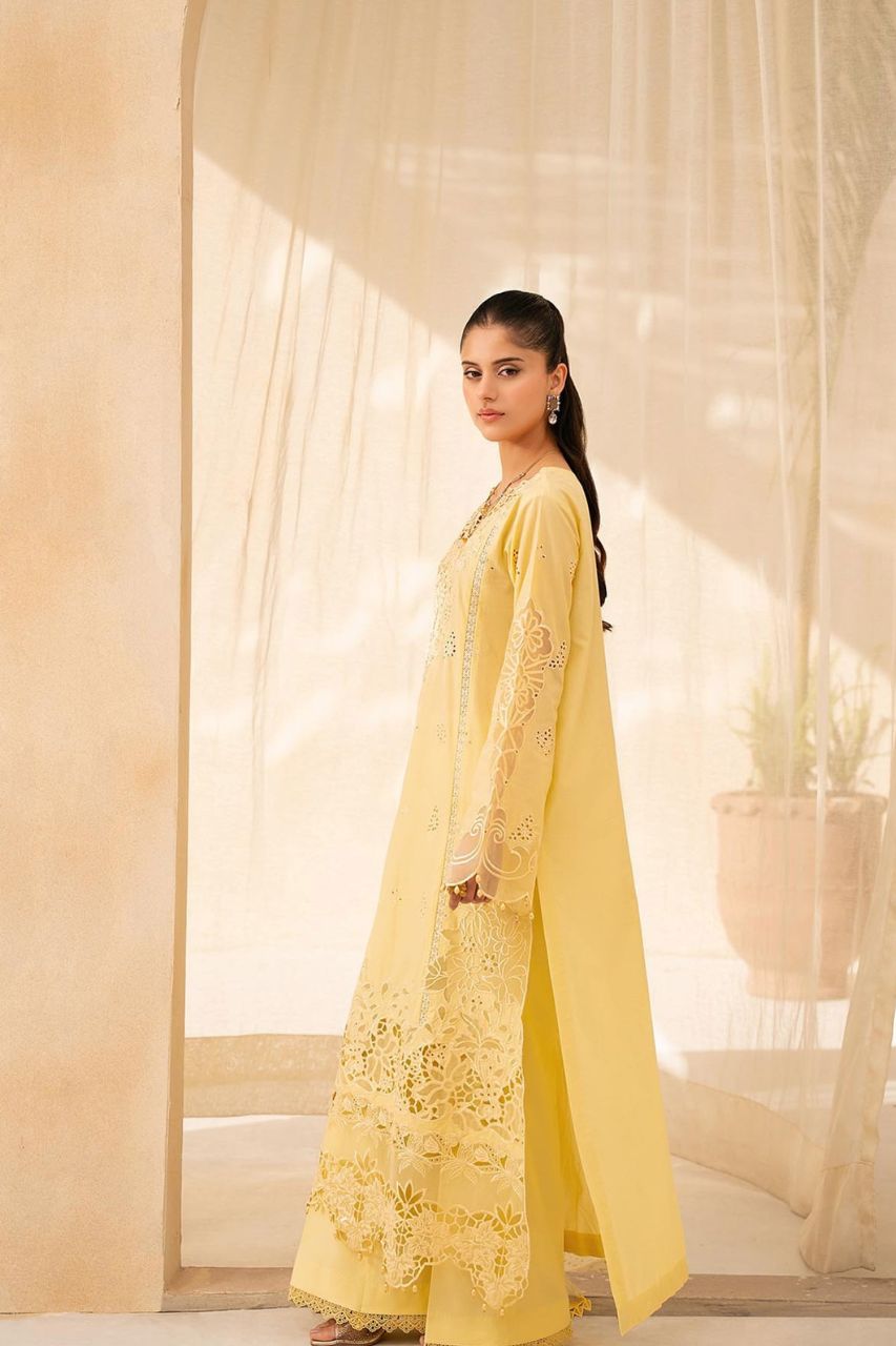 Jahaan By Rajbari | Premium Festive Lawn
