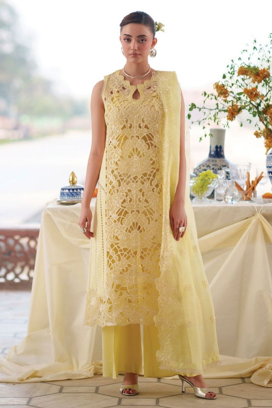 Nilofer By Mahnur | Lawn'26
