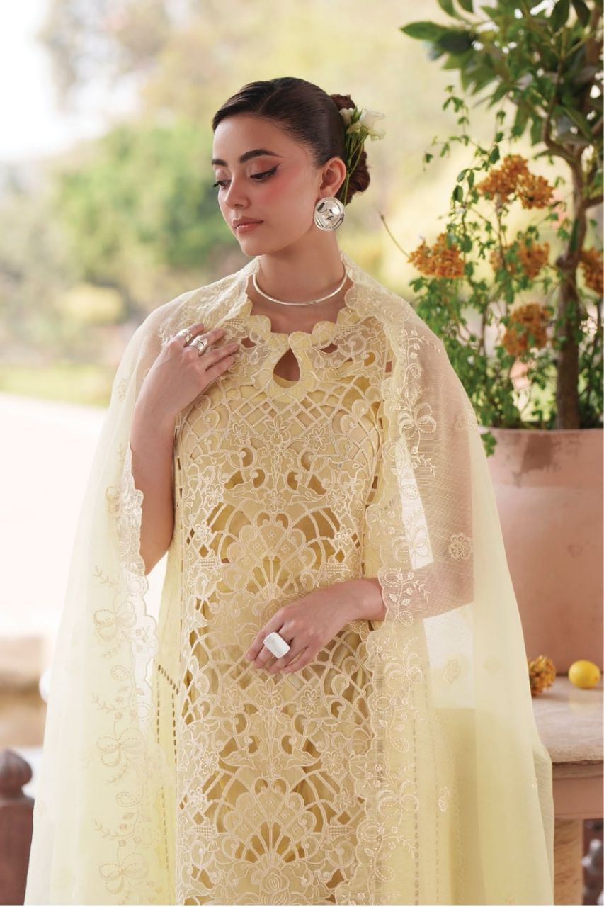 Nilofer By Mahnur | Lawn'26