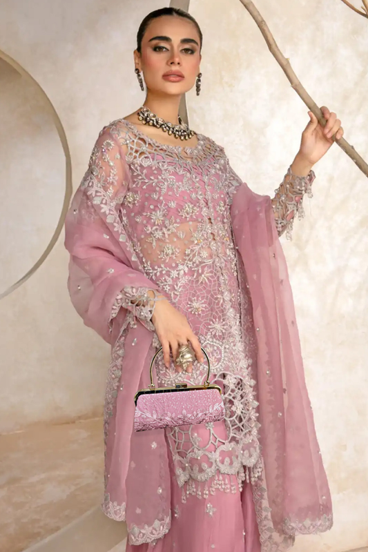 Sania | Dressline | Noor Jahan | Organza-3PC
