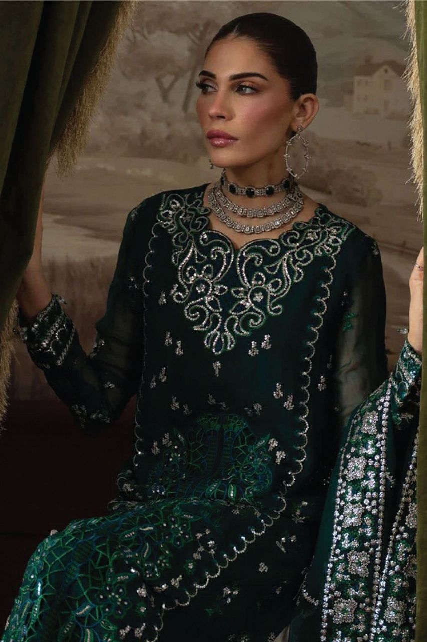 Zaib-o-Zeenat | Dreslsine | Shaista - Organza