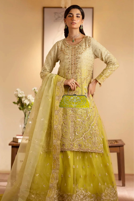 Rangeeli | Dressline | Organza