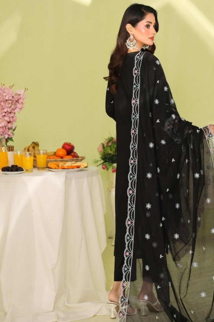 Regime By Dr. Haris | Lawn