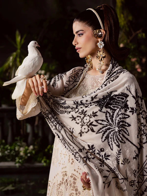 Amelia | Mahnur | Kotrai