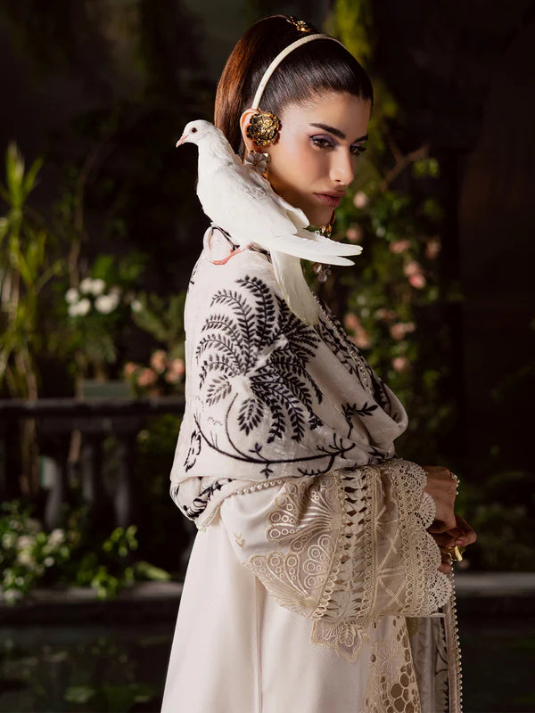 Amelia | Mahnur | Kotrai