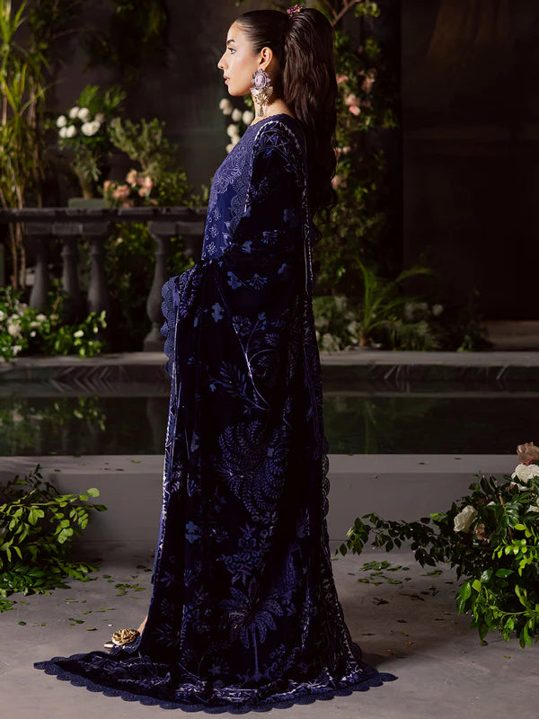 Amelia | Mahnur | Kotrai